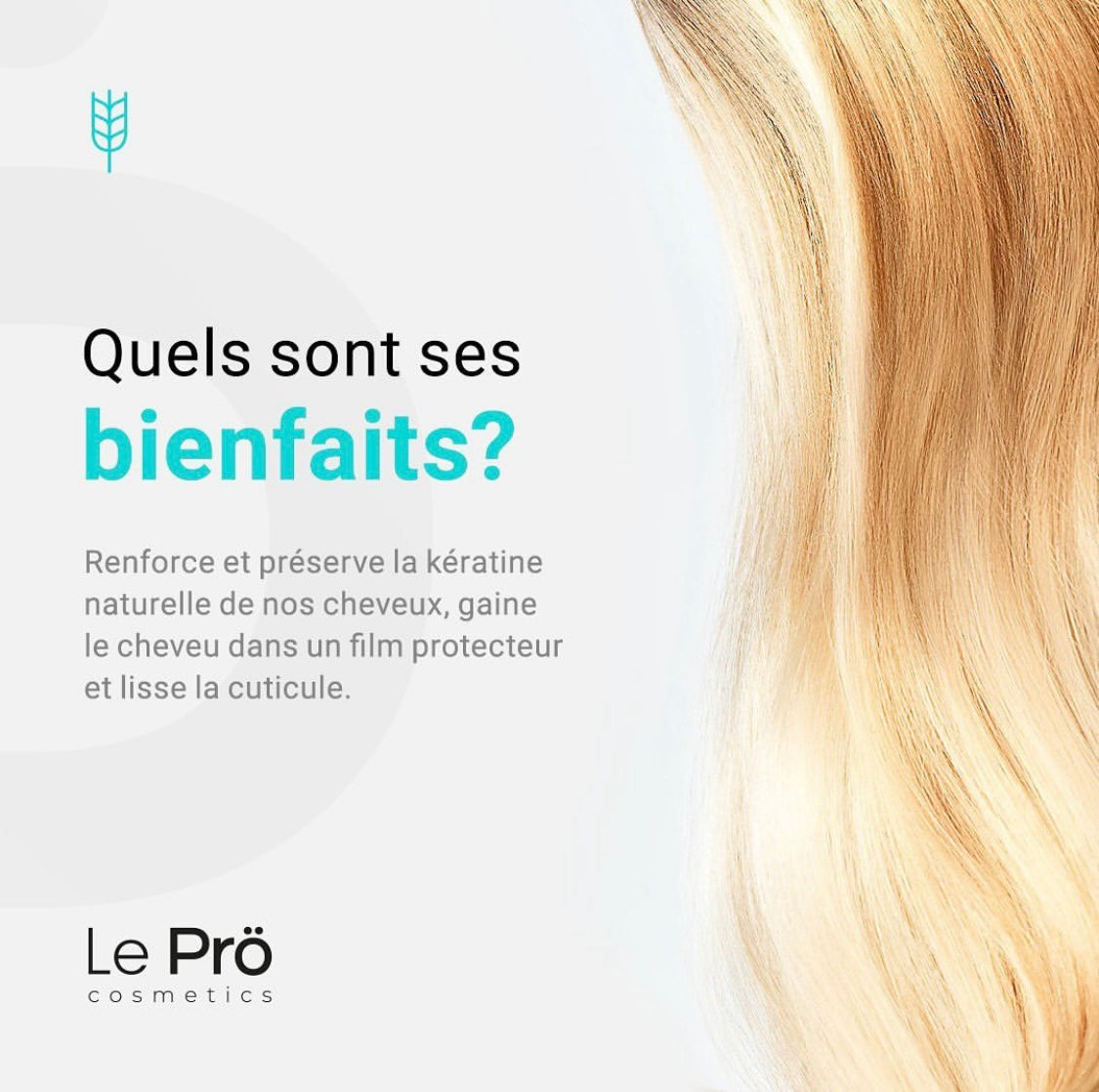 Formation Lissage Brésilien Organic Pack Medium