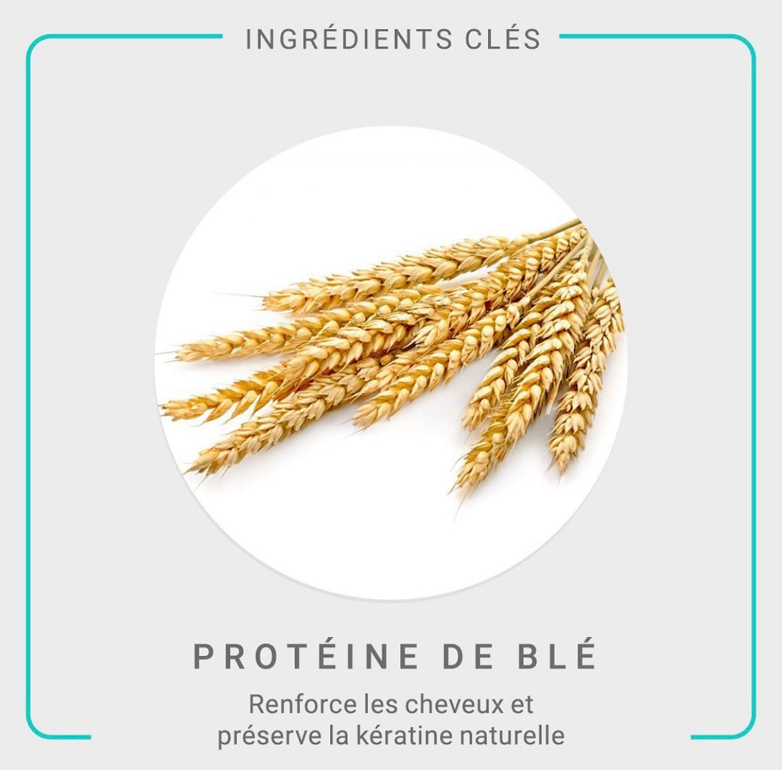 FORMATION Lissage Brésilien organic Pack privilège