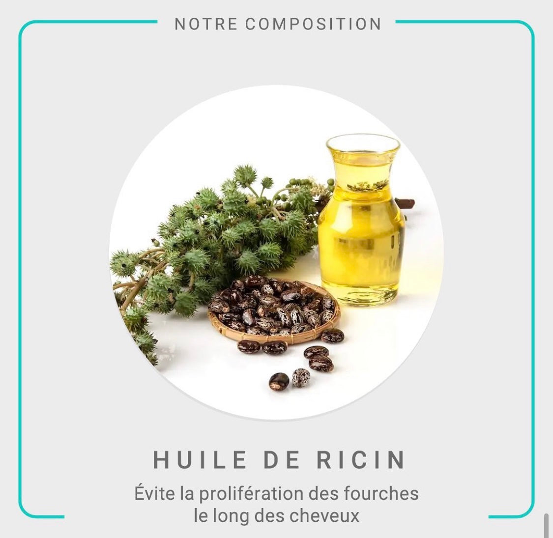 FORMATION Lissage Brésilien organic Pack privilège