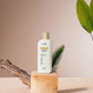 Shampooing Organic